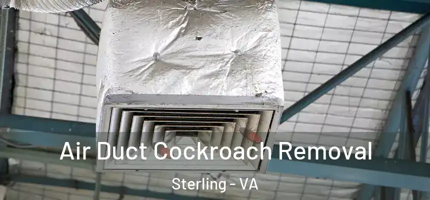 Air Duct Cockroach Removal Sterling - VA