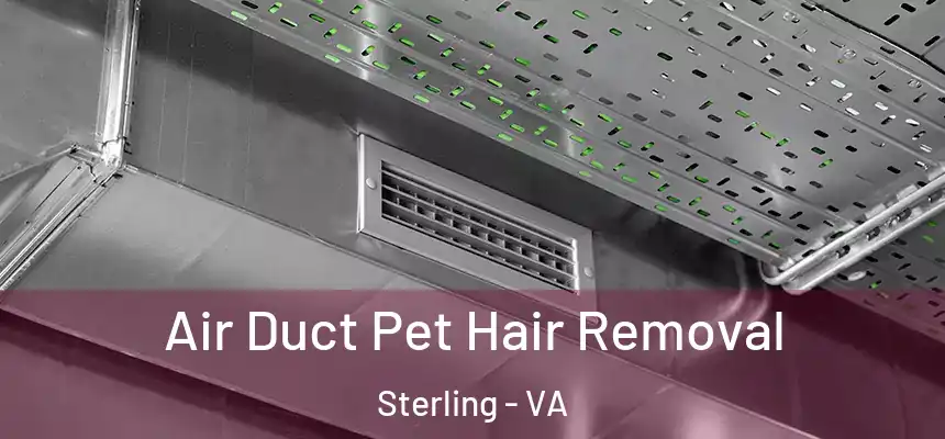 Air Duct Pet Hair Removal Sterling - VA