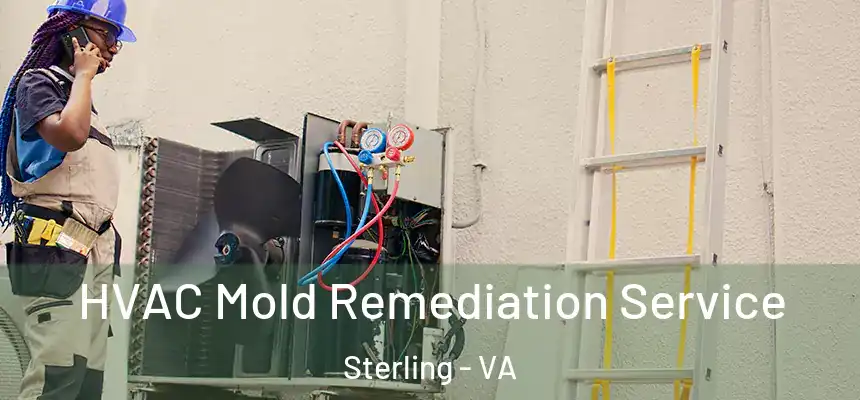  HVAC Mold Remediation Service Sterling - VA