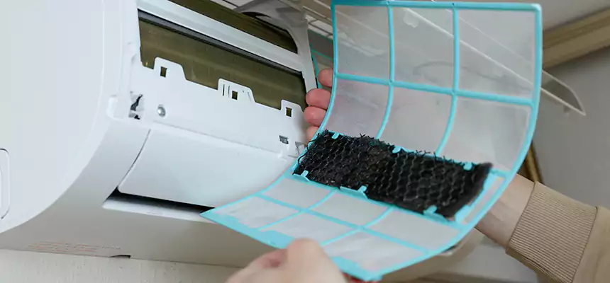 Gentle Ductwork Odor-Control Pet Dander Duct Cleaning in Sterling, VA