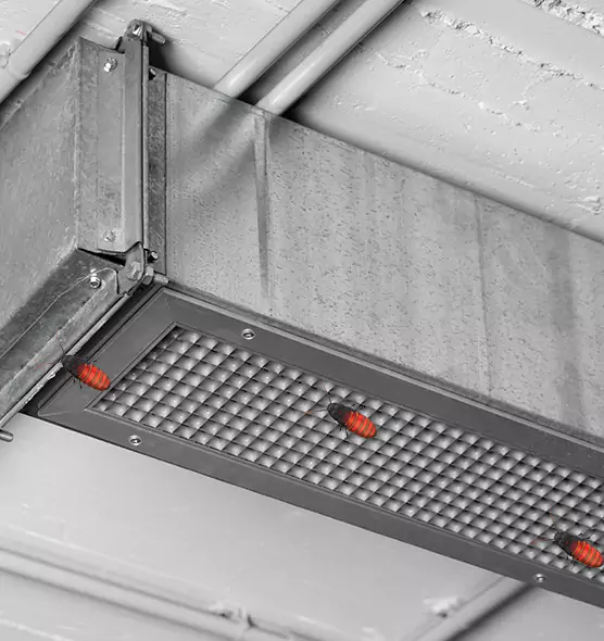 About Air Duct Cockroach Removal in Sterling, VA