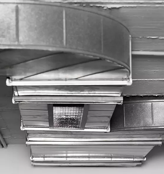 Professional Air Duct Pet Hair Removal in Sterling, VA