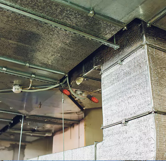 Why Homeowners & Businesses Trust Us Sterling, VA?