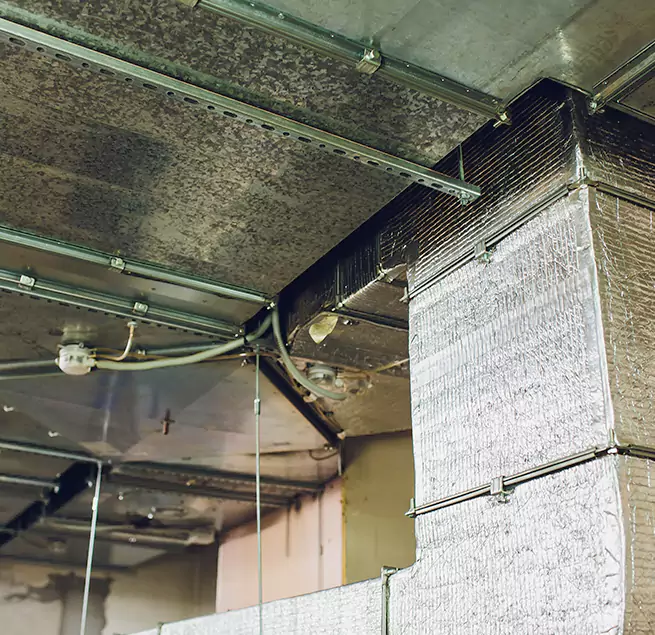 Why Homeowners & Businesses Trust Us in Sterling, VA?